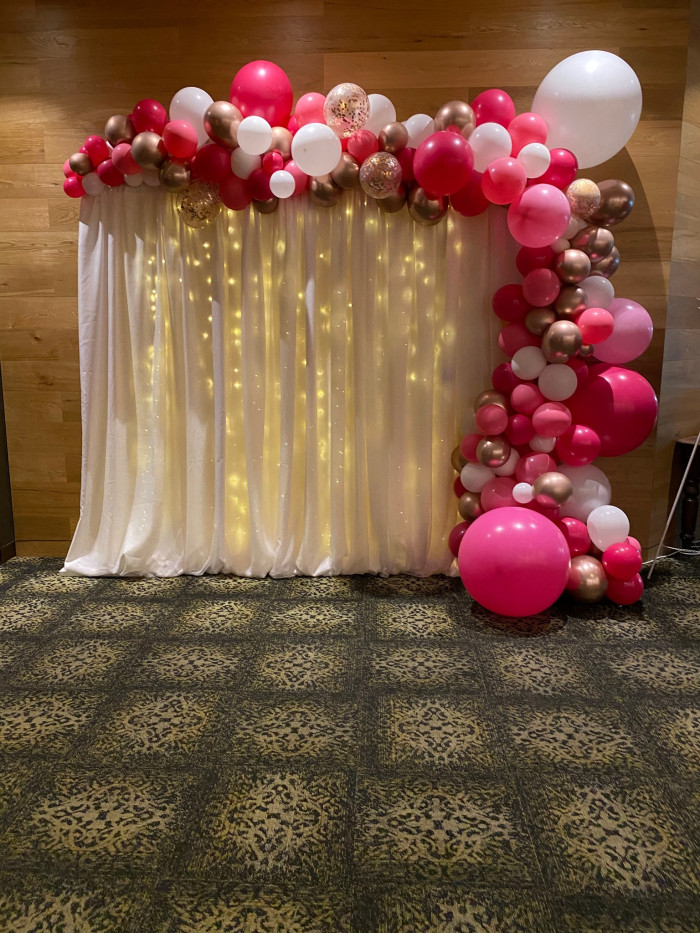 Fairy Light Backdrop Photo - 2