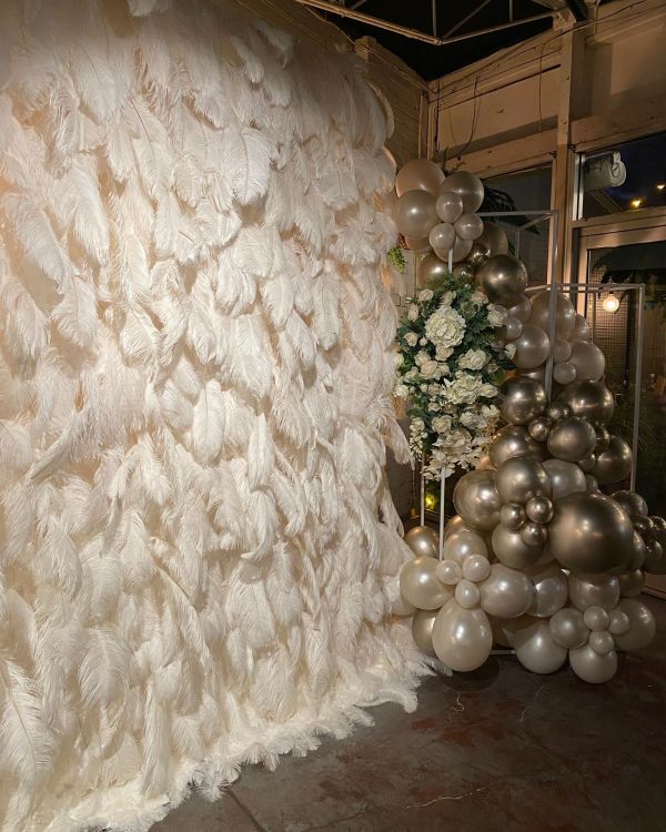 Feather Wall Photo