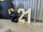 Festoon Numbers Photo - 2